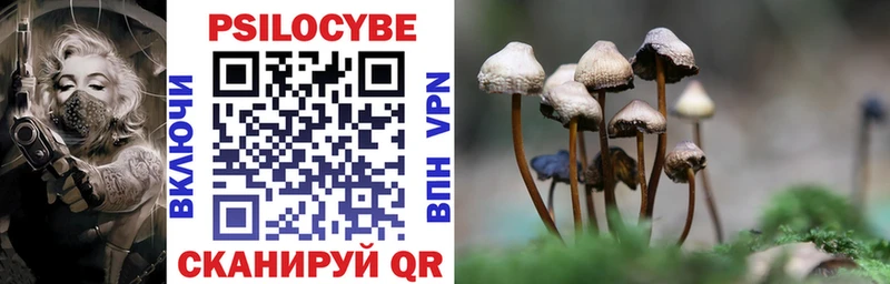 darknet официальный сайт купить сайты Феодосия Галлюциногенные грибы Magic Shrooms